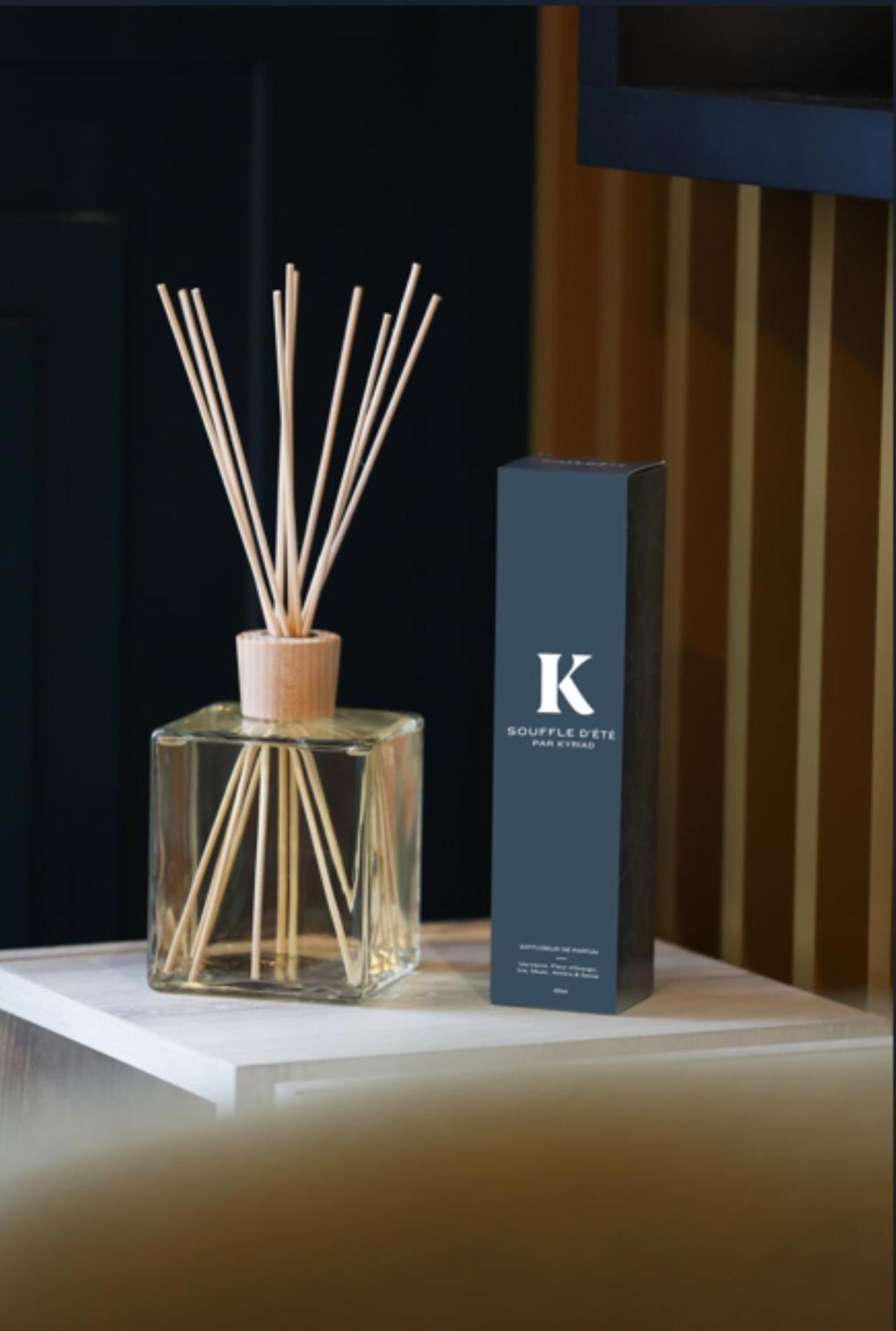 Kyriad Prestige Vannes Centre-Palais Des Arts Esterno foto